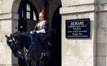 guard horse britain 1200x630.jpg