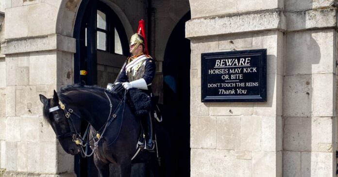 guard horse britain 1200x630.jpg guard horse britain 1200x630.jpg