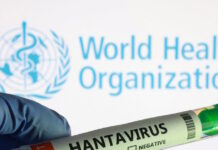 hantavirus 1 1200x630.jpg