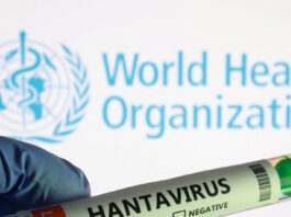 hantavirus 1 1200x630.jpg