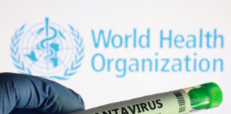 hantavirus 1 1200x630.jpg
