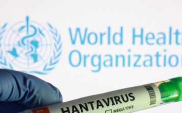 hantavirus 1 1200x630.jpg
