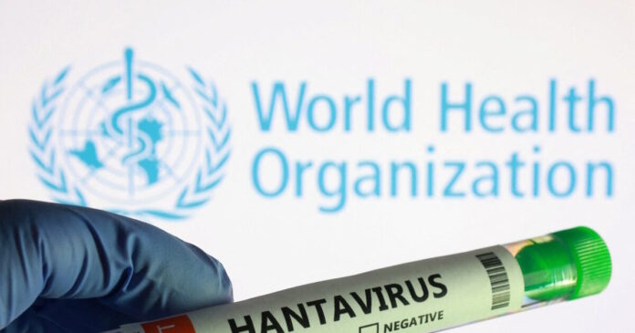 hantavirus 1 1200x630.jpg