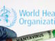 hantavirus 1 1200x630.jpg