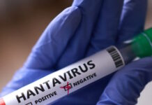 hantavirus 1200x630.jpg
