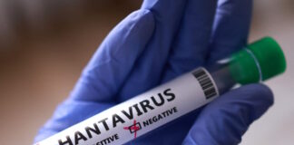 hantavirus 1200x630.jpg