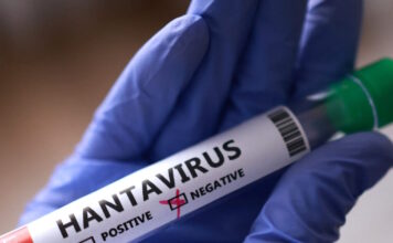 hantavirus 1200x630.jpg