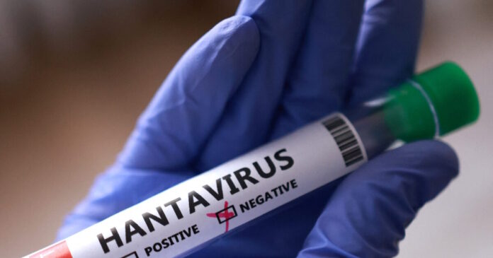 hantavirus 1200x630.jpg