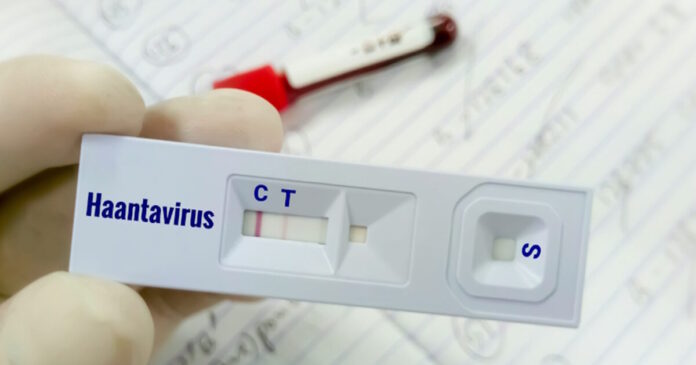 hantavirus 4 1200x630.jpg