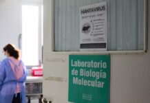 hantavirus ygeia ap 1 1200x630.jpg