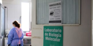 hantavirus ygeia ap 1 1200x630.jpg
