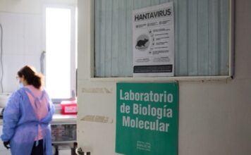 hantavirus ygeia ap 1 1200x630.jpg