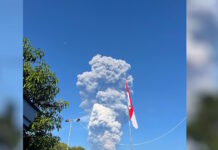 hfaisteio 1200x630.jpg