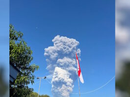 hfaisteio 1200x630.jpg