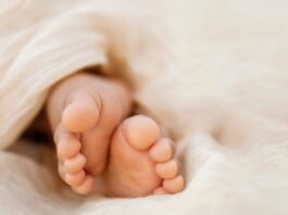 istock 1455070461 1 1200x630.jpg