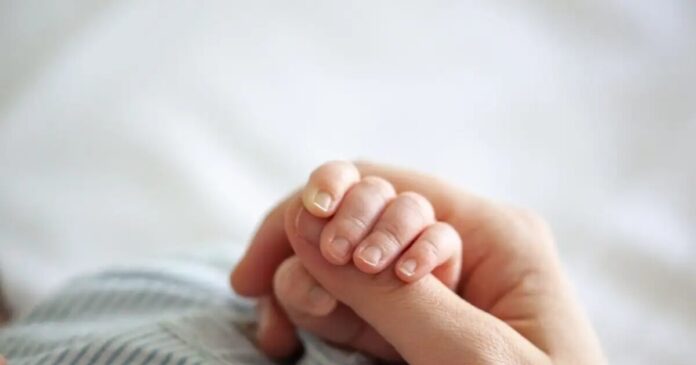 istock 1476570256 1200x675 1 1200x630.jpg