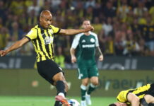 joaomario 1200x630.jpg