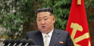 kim 1 1200x630.jpg
