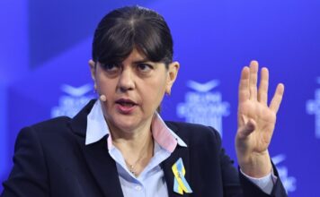 kovesi 1 1200x630.jpg
