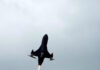 latvia drones reuters 1200x630.jpg
