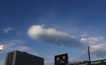 leofo 1200x630.jpg