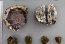 lesvos apolithomata2 28052026 1200x630.jpg
