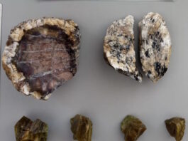 lesvos apolithomata2 28052026 1200x630.jpg