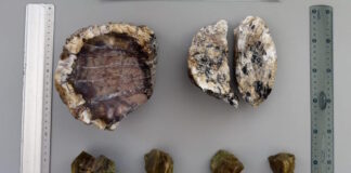 lesvos apolithomata2 28052026 1200x630.jpg