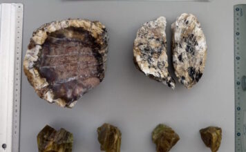 lesvos apolithomata2 28052026 1200x630.jpg