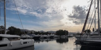 marina alimou 01052026 1200x630.jpg