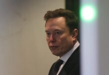musk 1 1200x630.jpg