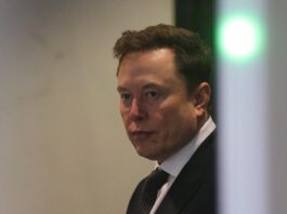 musk 1 1200x630.jpg
