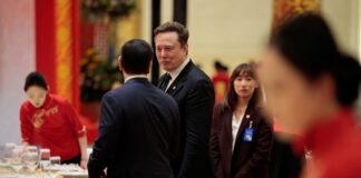 musk2 1200x630.jpg