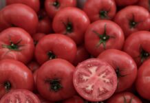 ntomates 1200x630.jpg
