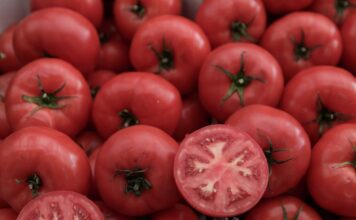 ntomates 1200x630.jpg