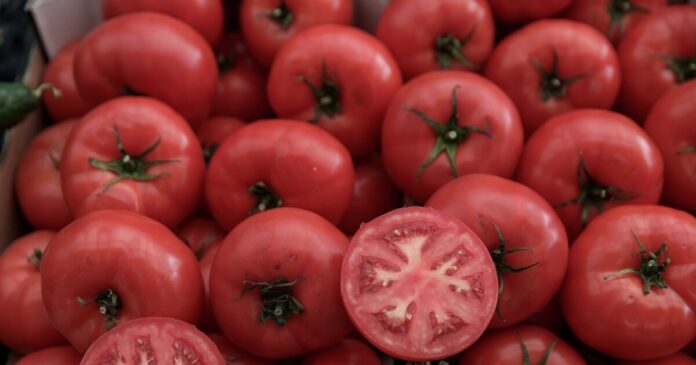ntomates 1200x630.jpg