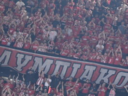 olyfans 1200x630.jpg