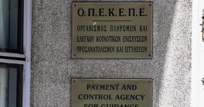 opekepe 1 1200x630.jpg