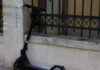patini eurok 1200x630.jpg