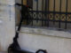 patini eurok 1200x630.jpg