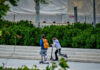patinia eurok 1200x630.jpg