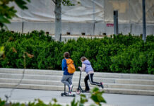 patinia eurok 1200x630.jpg