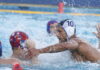 polo 1200x630.jpg