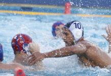 polo 1200x630.jpg