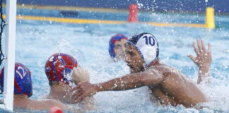 polo 1200x630.jpg
