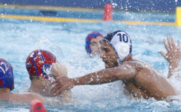 polo 1200x630.jpg