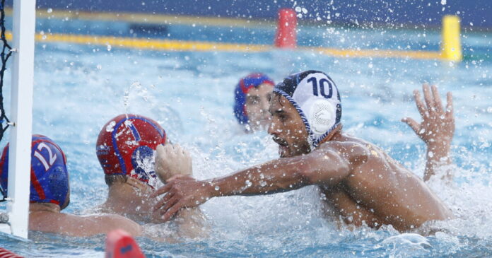 polo 1200x630.jpg