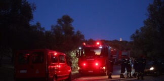 purosvestiki 1200x630.jpg