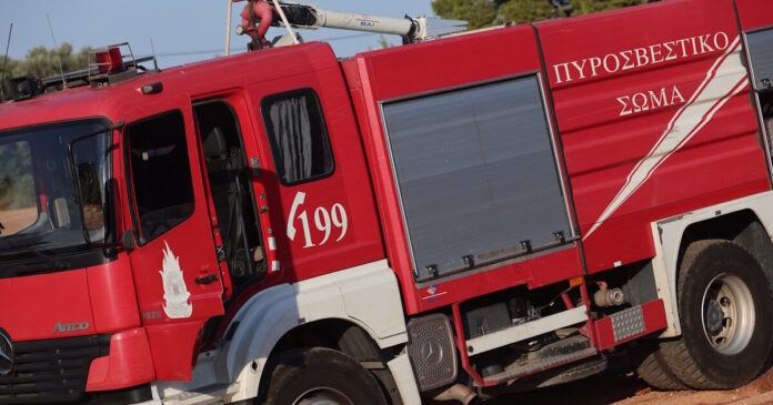 purosvestiki1 1 1200x630.jpg