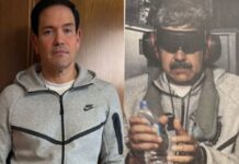 rubio 1200x630.jpg